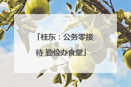 桂东：公务零接待 勤俭办食堂