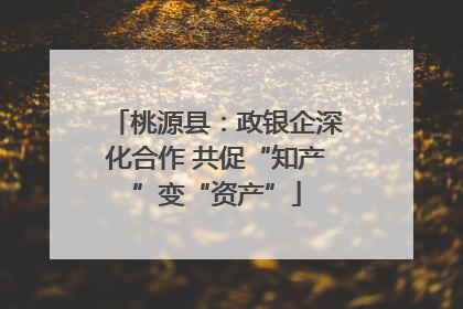 桃源县：政银企深化合作 共促“知产”变“资产”