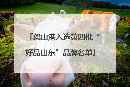 梁山港入选第四批“好品山东”品牌名单
