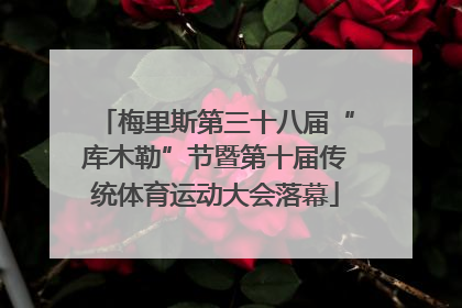 梅里斯第三十八届“库木勒”节暨第十届传统体育运动大会落幕