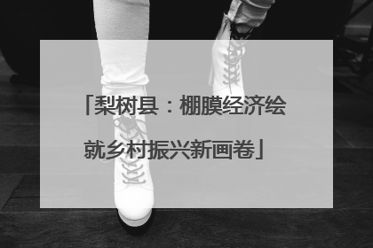 梨树县：棚膜经济绘就乡村振兴新画卷