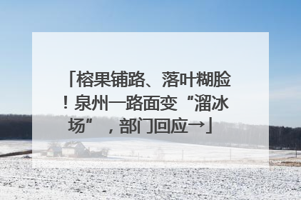 榕果铺路、落叶糊脸！泉州一路面变“溜冰场”，部门回应→