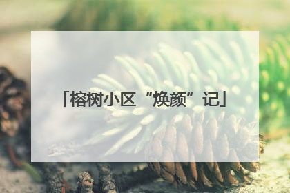 榕树小区“焕颜”记