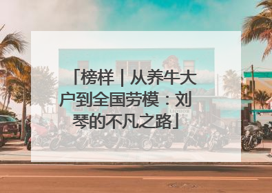 榜样｜从养牛大户到全国劳模：刘琴的不凡之路
