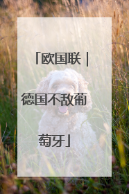 欧国联｜德国不敌葡萄牙