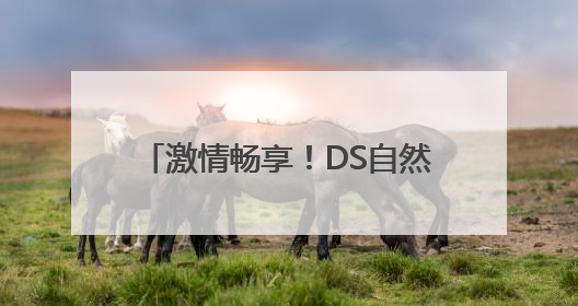 激情畅享！DS自然探索赛（济南站）在济南植物园震撼开场