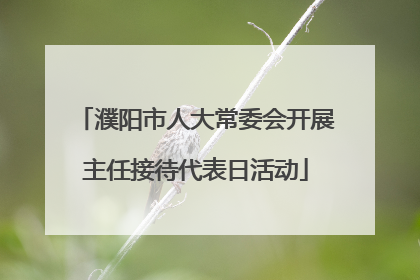 濮阳市人大常委会开展主任接待代表日活动