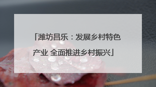 潍坊昌乐：发展乡村特色产业 全面推进乡村振兴