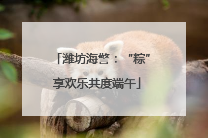 潍坊海警：“粽”享欢乐共度端午
