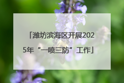 潍坊滨海区开展2025年“一喷三防”工作