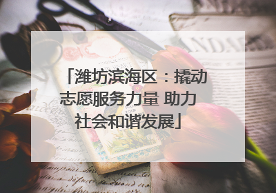 潍坊滨海区：撬动志愿服务力量 助力社会和谐发展