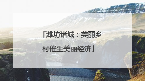 潍坊诸城：美丽乡村催生美丽经济