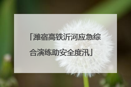 潍宿高铁沂河应急综合演练助安全度汛