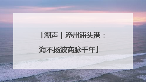 潮声｜漳州浦头港：海不扬波商脉千年