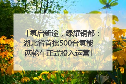 氢启新途，绿耀铜都：湖北省首批500台氢能两轮车正式投入运营