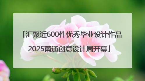 汇聚近600件优秀毕业设计作品 2025南通创意设计周开幕