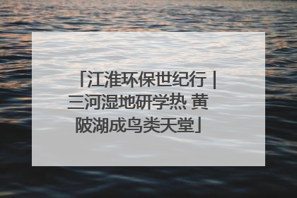 江淮环保世纪行｜三河湿地研学热 黄陂湖成鸟类天堂