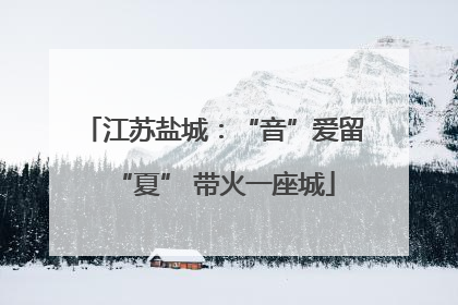 江苏盐城：“音”爱留“夏” 带火一座城