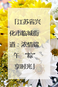 江苏省兴化市临城街道：浓情端午 “粽”享时光