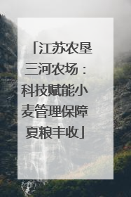 江苏农垦三河农场：科技赋能小麦管理保障夏粮丰收