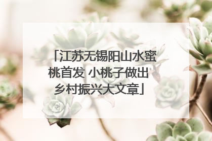 江苏无锡阳山水蜜桃首发 小桃子做出乡村振兴大文章