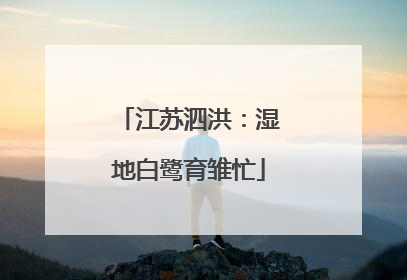江苏泗洪：湿地白鹭育雏忙