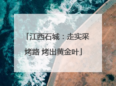 江西石城：走实采烤路 烤出黄金叶