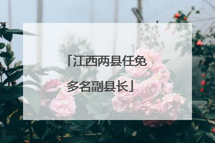 江西两县任免多名副县长