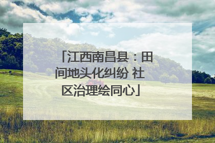 江西南昌县：田间地头化纠纷 社区治理绘同心