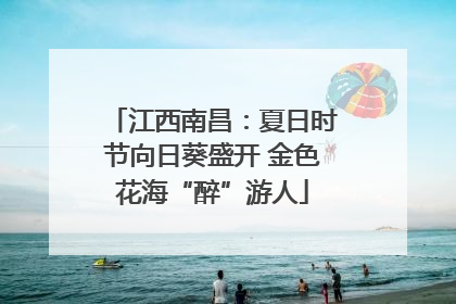 江西南昌：夏日时节向日葵盛开 金色花海“醉”游人