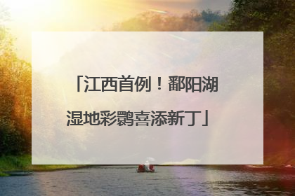 江西首例！鄱阳湖湿地彩鹮喜添新丁