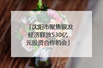 沈阳市聚焦银发经济释放530亿元投资合作机会