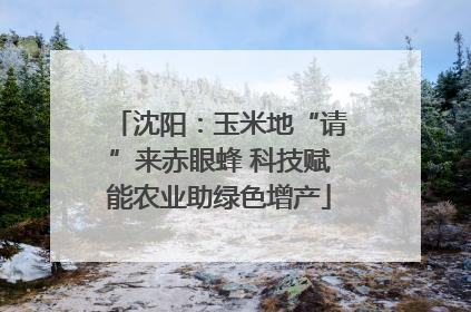 沈阳：玉米地“请”来赤眼蜂 科技赋能农业助绿色增产