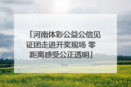 河南体彩公益公信见证团走进开奖现场 零距离感受公正透明