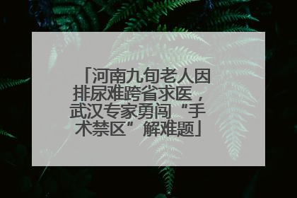 河南九旬老人因排尿难跨省求医，武汉专家勇闯“手术禁区”解难题
