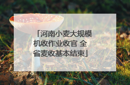 河南小麦大规模机收作业收官 全省麦收基本结束