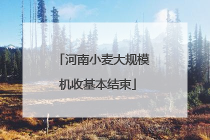 河南小麦大规模机收基本结束