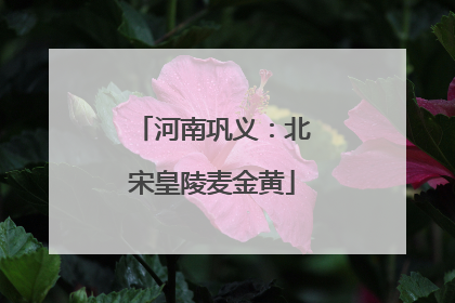 河南巩义：北宋皇陵麦金黄