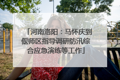 河南洛阳：马怀庆到偃师区指导调研防汛综合应急演练等工作