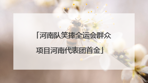 河南队笑捧全运会群众项目河南代表团首金