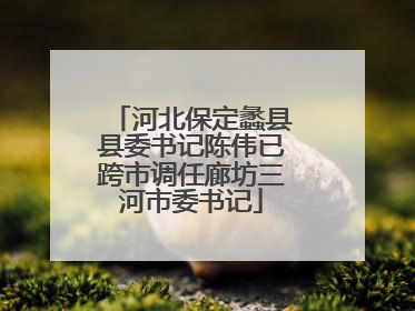 河北保定蠡县县委书记陈伟已跨市调任廊坊三河市委书记