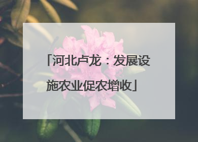 河北卢龙：发展设施农业促农增收