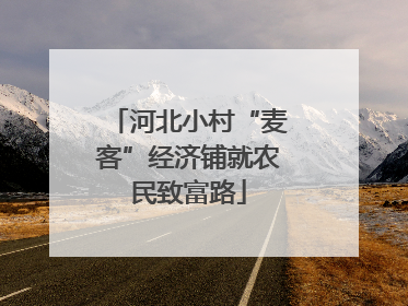 河北小村“麦客”经济铺就农民致富路