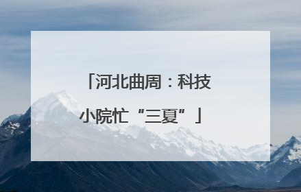 河北曲周：科技小院忙“三夏”