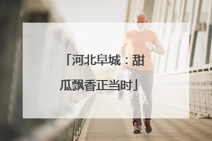 河北阜城：甜瓜飘香正当时