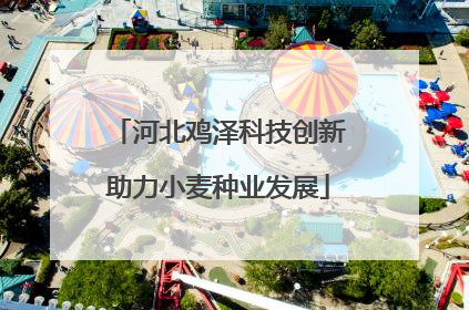 河北鸡泽科技创新助力小麦种业发展