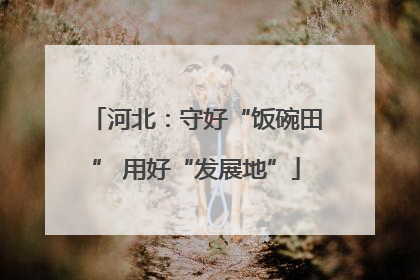 河北：守好“饭碗田” 用好“发展地”