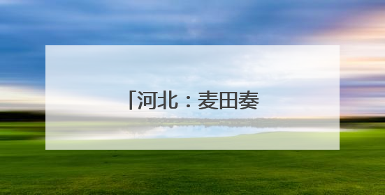 河北：麦田奏响丰收乐章