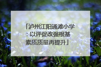 泸州江阳通滩小学：以评促改强根基 素质质量再提升