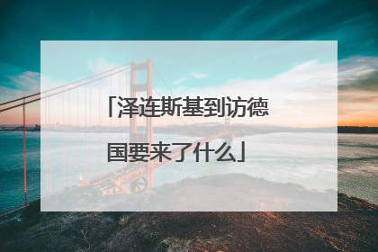 泽连斯基到访德国要来了什么